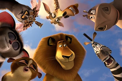 Top Mort Madagascar Wallpapers Wallpapers