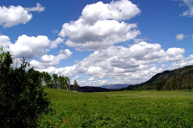 Nature Desktop WallpapersHD Wallpapers