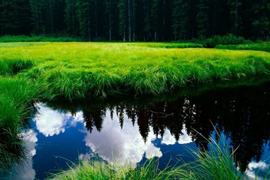 Beautiful Nature Backgrounds Wallpapers For Desktop Backgrounds ...