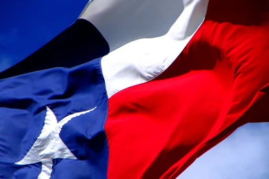 Texas Flag Nylon  Lady Liberty Flag & Flagpole – AUSTIN, TEXAS