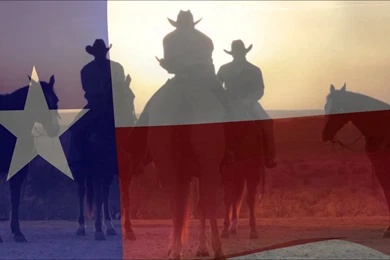 Texas Gold Announcement Might Lead To Succession Says Expert