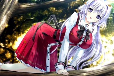 Cute, Girl, Up, In, A, Tree, Anime Images, Hd Anime Wallpapers ...