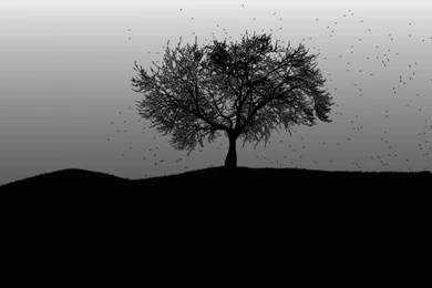 Yep Rainmeter And Rocketdock Rock Or Anything Like It Would ...