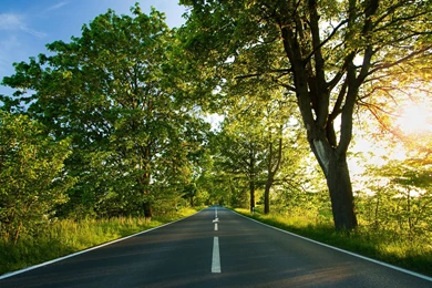 Nature: One Path, Picture Nr. 61388