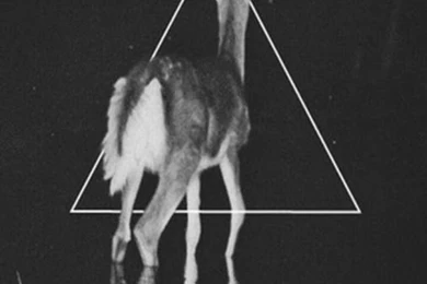 Indie Wallpapers   Android Apps On Google Play