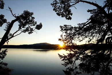 Latest Wallpapers HD Free Download   Wallpapers Zone