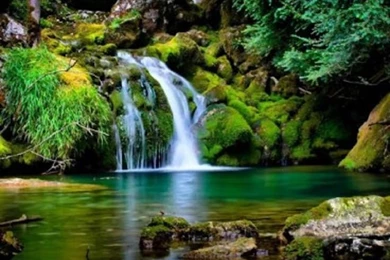 Download The Latest Wallpapers Gallery Of Nature II Wallpapers And ...