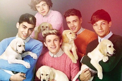 Wallpapers One Direction Collection (45+)