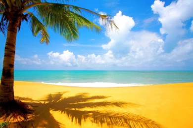 Tropical Background fxUr 10747 Hd Pictures