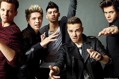One direction 34a.jpg