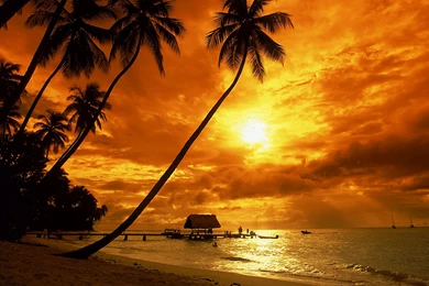 Tropical Sunset Wallpapers Beach Wallpapers
