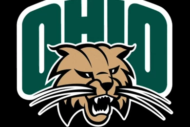 Visible Interactive Bobcat