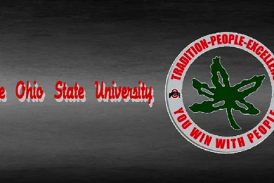 The Ohio State University   (