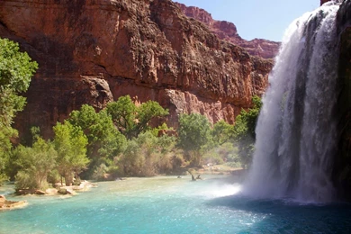 Havasu Falls Wallpapers