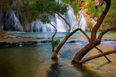 Havasu Falls Wallpapers