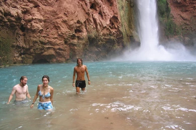 Havasu Falls Arizona 81344 HD Wallpapers