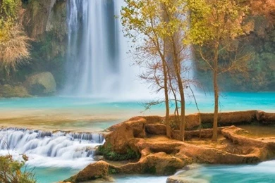Canyon Oasis, Havasu Falls, Arizona 540x960 Wallpapers ImgPrix