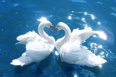 Images Of Nice Backgrounds   Wallpapers Cave