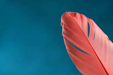 Nice Love Wallpapers