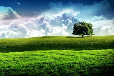 Nice Wallpapers Hd For Desktop