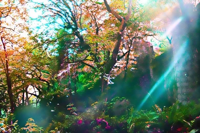 Fairy Tale Wallpapers Wallpapers Cave