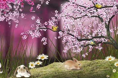 Fairytale Forest Wallpapers » WallDevil   Best Free HD Desktop And ...