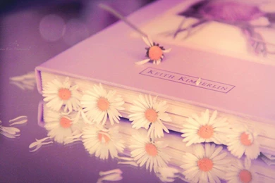 FAIRYTALE WALLPAPER   (