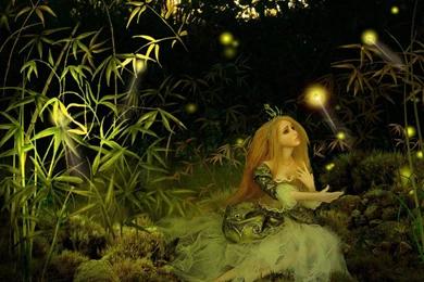 FAIRYTALE WALLPAPER (