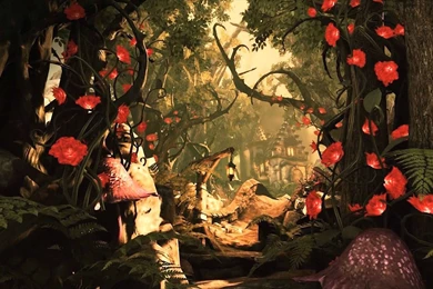 WOOLFE RED HOOD DIARIES Platform Fantasy Fairytale Steampunk ...