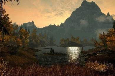Skyrim Nexus Mods And Community