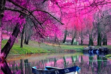 Fairytale Landscape Wallpapers   (