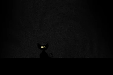 Black Cat Wallpapers For Mobile