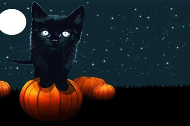 Halloween Wallpapers Black Cat