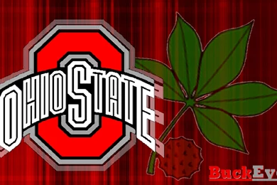 Buckeye Wallpapers   Wallpapers Cave