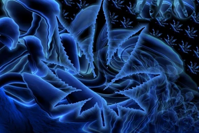 Trippy Weed Wallpapers