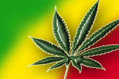 Download Free Weed HD Wallpapers