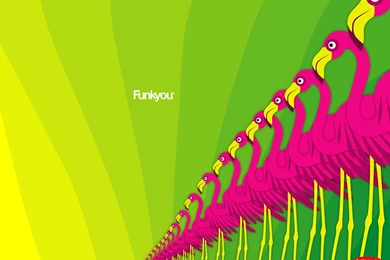 1600x1200 Funk Flamingo Desktop PC And Mac Wallpapers
