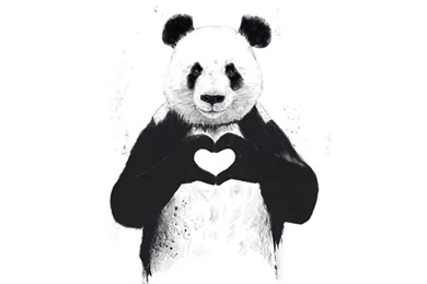 Panda Funk Wallpapers