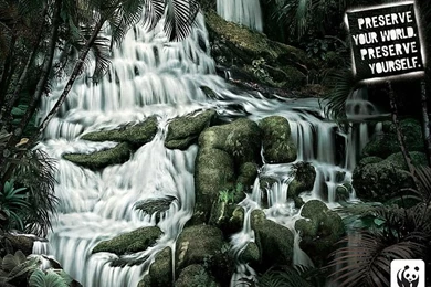 WWF World Wide Fund For Nature (WWF) PSAs Wallpapers 31309 ...