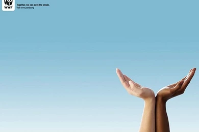 WWF World Wide Fund For Nature (WWF) PSAs Wallpapers 31339 ...