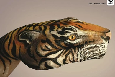 WWF World Wide Fund For Nature (WWF) PSAs Wallpapers 31271 ...