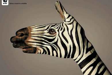 WWF World Wide Fund For Nature (WWF) PSAs Wallpapers 31254 ...