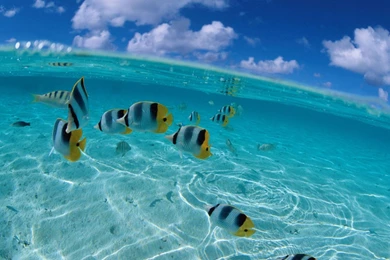 Water World Wide 1440x900