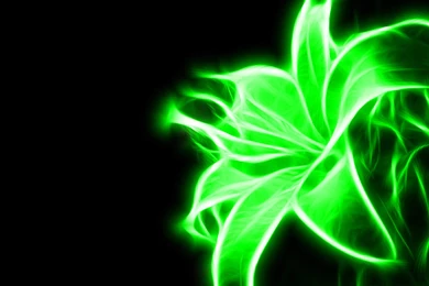 Lime Green Wallpapers