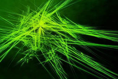 Lime Green Wallpapers