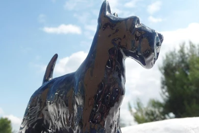 Scottish Terrier Dog (id: 90815) – BUZZERG