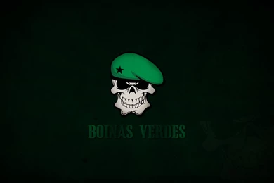 Wallpapers Boinas Verdes Combat Arms Br By ArtpsL On DeviantArt