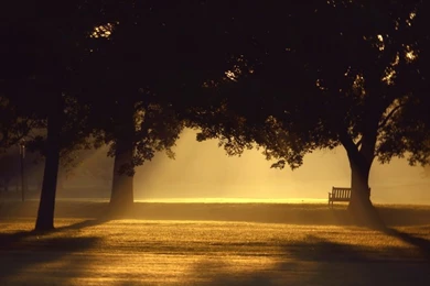 Change With The Seasons With These Amazing, Free Wallpapers