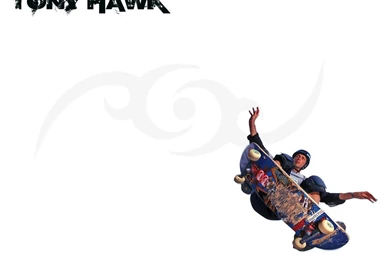 Desktop Wallpaper, Tony Hawk 1024x768