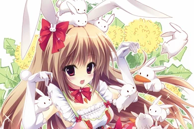 Nai Of Cypress Qi Star Moves _ Of Wallpapers Of Free Belle Desktop ...